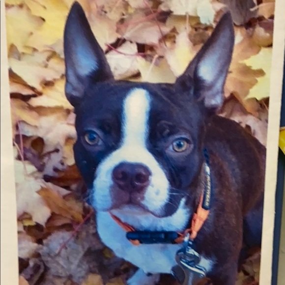 Meet your Posher, Monica - Picture 1 of 1